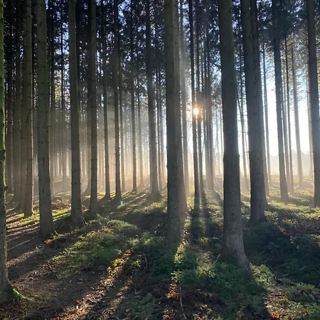 Luetje Vogelsang Weddingstedt
